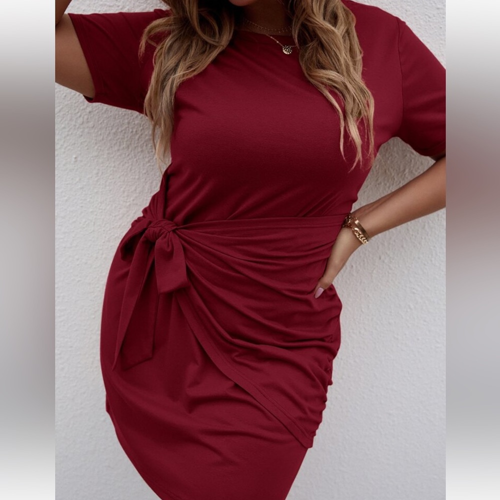 Elegant Plus Size Wrap Front Tie Dress - Picture 5 of 5
